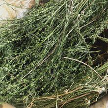 ���Ұ�������1000g���l�o���һ�rʮ����� ������ С�� ��ʯ��