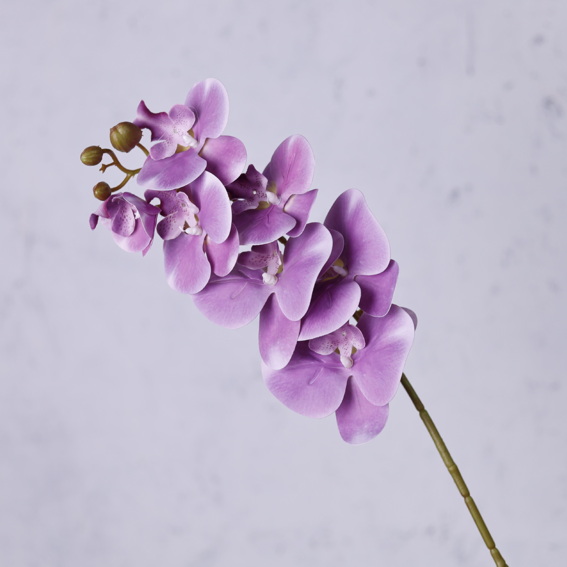 Impresión 3D de 7 cabezas de orquídeas mariposa flor de decoración de flores de alto nivel flor de nicho decoración floral decoración de sala de estar