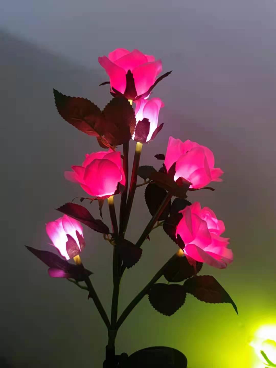 c19dc10beadf3fd5d44acca37af870