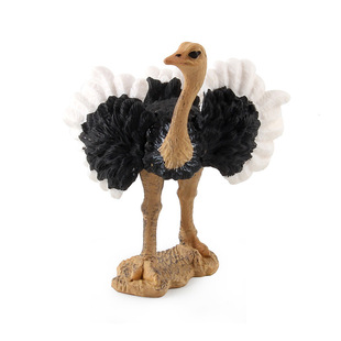 Children's Science and Education Cognitive Bird Model Simulation African Ostrich Solid Bird Farm Static Ornaments Factory Outlet