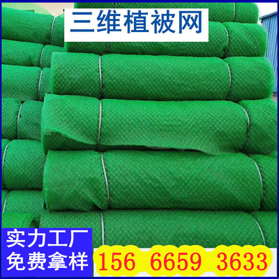 Manufactor wholesale Revetment three-dimensional vegetation green three-dimensional Geotextile mat EM2EM3EM4EM5 Three dimensional network