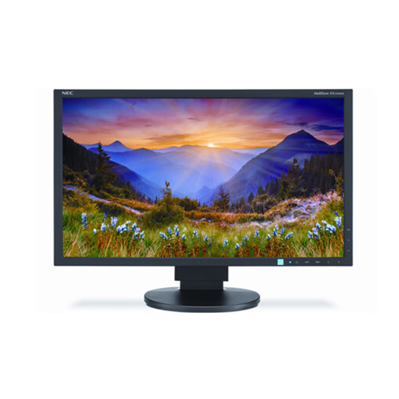 Nec Ea193Mi 19inch Square Screen Ips Panel Professional Lcd Desktop Monitor for Financial Charting and Design