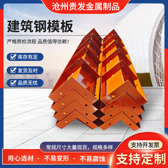 Q235平面組合せ鋼型枠建築工事橋施工鋼型枠円柱異形鋼型枠