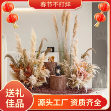 �����JȔ�쾰�＾�҃ȾW�t���b�ꙻ���b��^�߼���ꐲ��ÿ羳