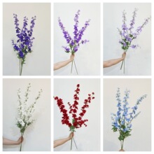 �¿�3���w��� 3�^����С�w�� �����ɚ⻨�Ĵ���С�������_�m�Ҿ�