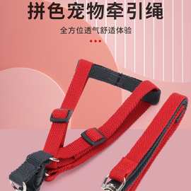 撞色宠物猫咪狗狗牵引绳马卡龙拼色宠物胸背带狗狗牵引绳