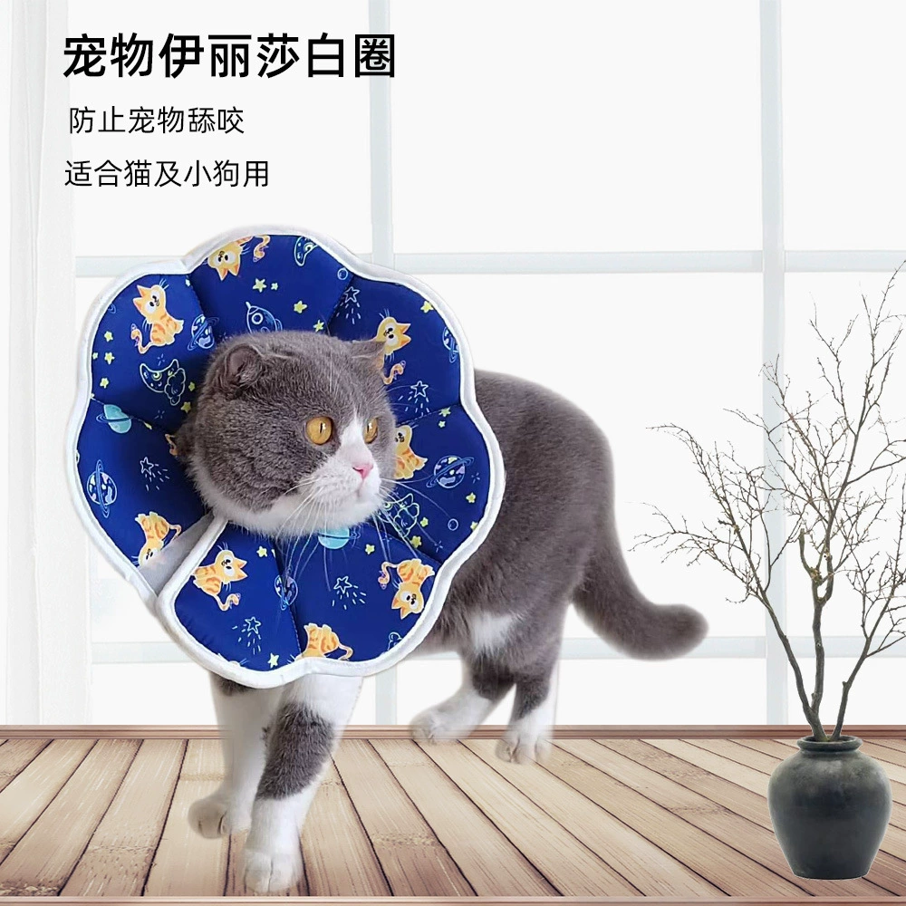 Cat Pet Elizabeth Ring Водонепроницаемое противолизывающее стерилизационное головное убор для домашних животных Складное кольцо на шею для маленьких собак и кошек