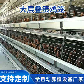 大层叠蛋鸡立式鸡笼子生产设备全自动收集清理粪便热镀锌养殖场