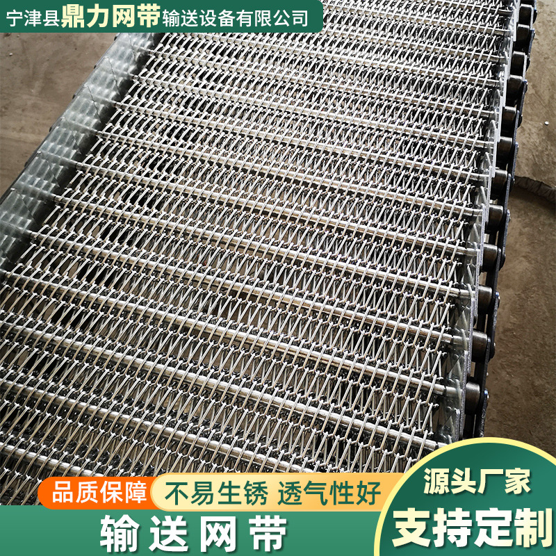 饼干蔬菜水果药材食品烘干用网链喷涂生产线玻璃退火炉不锈钢网带