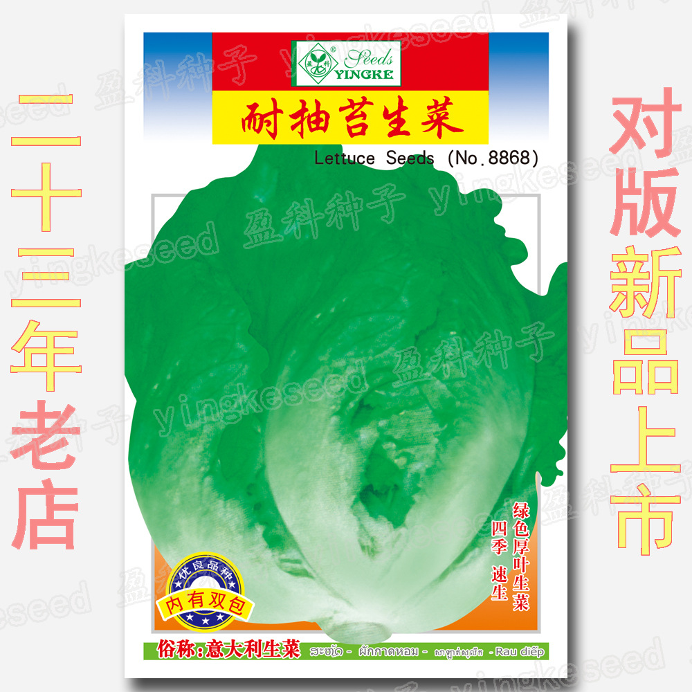 蔬菜种子公司四季易种地摊花卉草坪花种子批发-耐抽苔生菜 菜种子