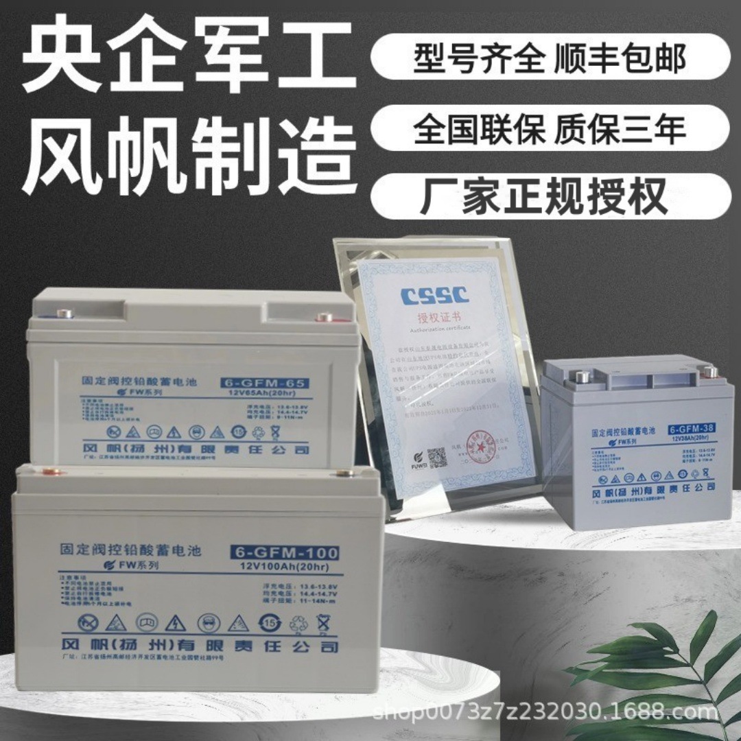 风帆铅酸蓄电池6-GFM-100免维护12V100AH直流屏UPS/EPS机房蓄电池