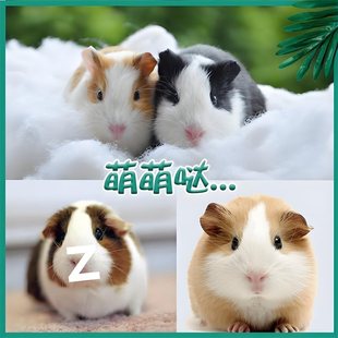 ���ͺ��m�i����������Ƥ����܇܇С������m�����Լҷ�ֳ���B