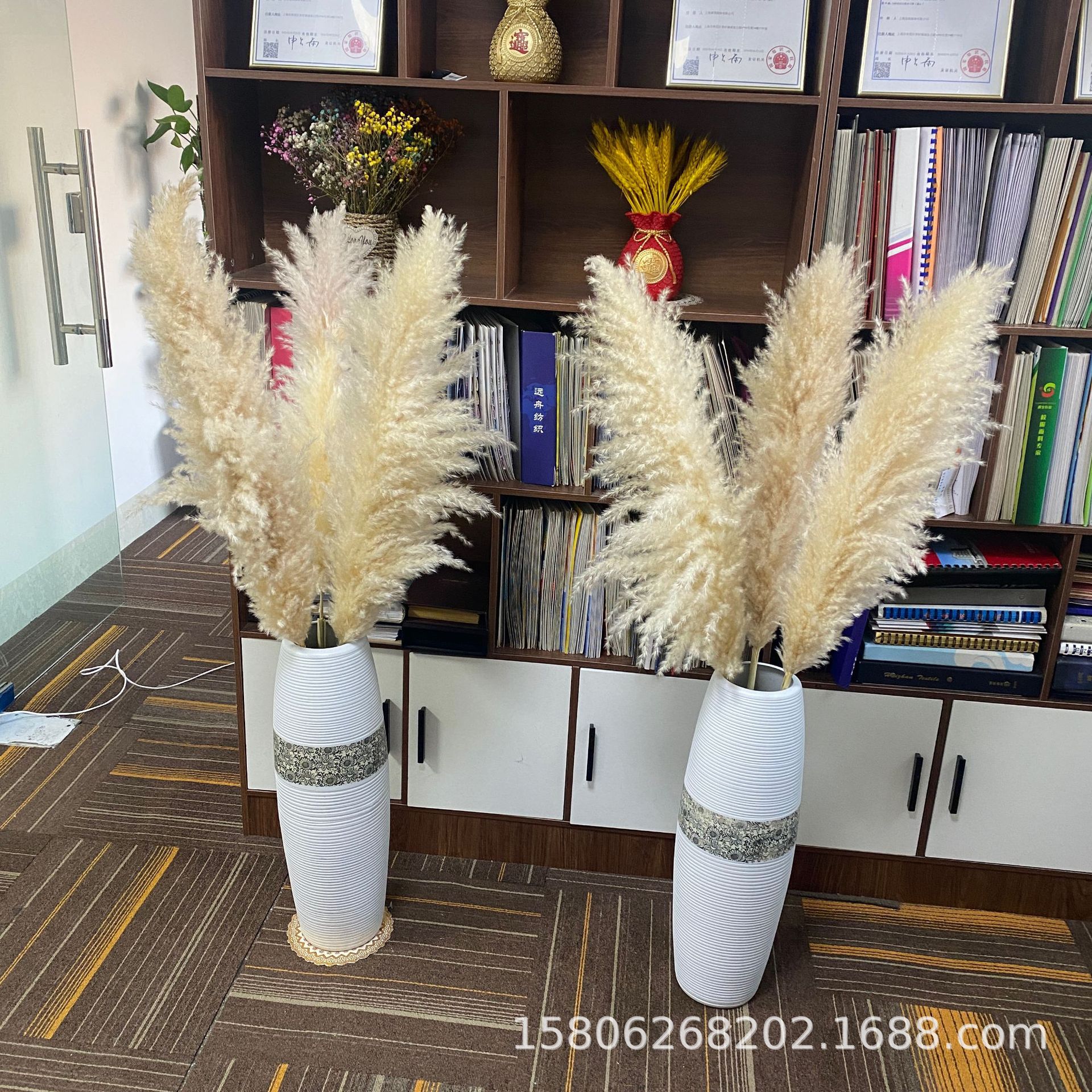 云南天然永生花米白色原色潘帕斯草花束小芦苇大芦苇蒲苇干花批发-阿里巴巴