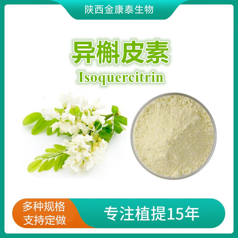 异槲皮素98%异槲皮苷Isoquercitrin罗布麻甲素槐米提取物100g每袋