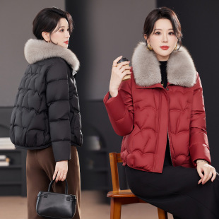 �r�Ћ����b����ë�I��ë�I��q�����b�¿�����Z�q��������������