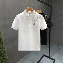 �OӋ�д̽��߶˶���polo��������Ʀ������2026���ļ��¿���ʿt��