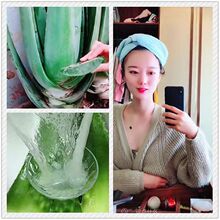 �������J�C���� �����J�Cֲ��ʳ���J�C�Gֲ�J�C���J�C����Ժ����