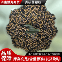 ���l������򼚾��w���ĺ����w�����ڳ�������׸��üS����w��