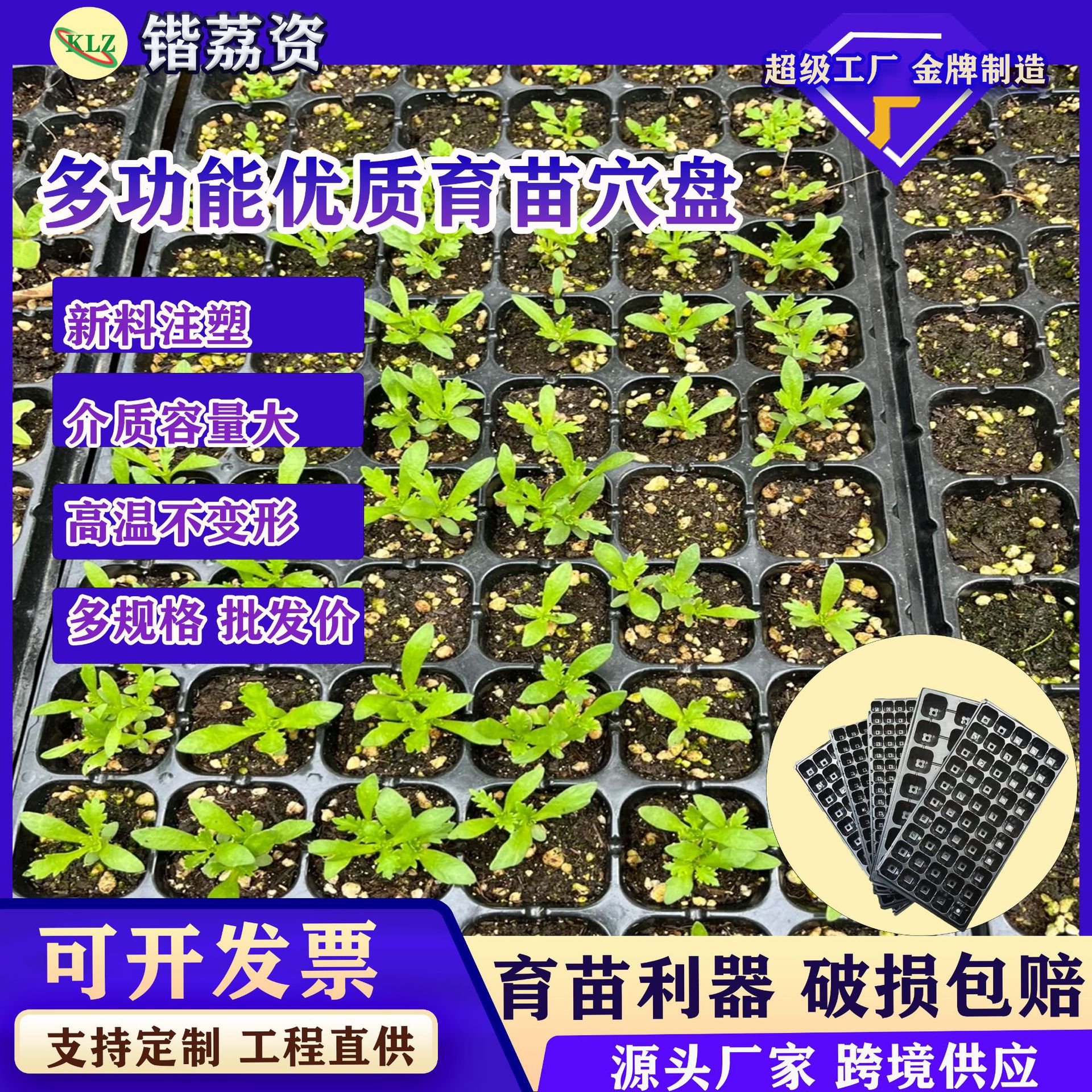 育苗盘穴盘育苗盆育苗杯育苗盒玉米育苗专用盘西瓜育苗盘穴盘苗盘