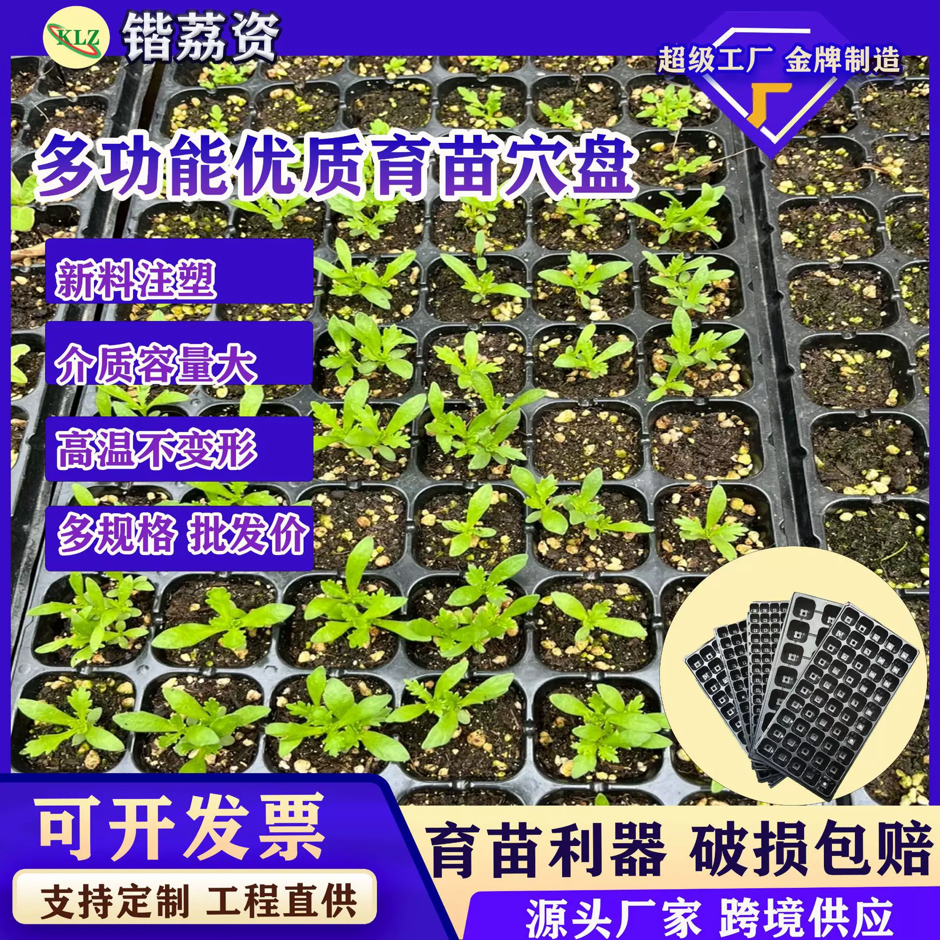 育苗盘穴盘育苗盆育苗杯育苗盒玉米育苗专用盘西瓜育苗盘穴盘苗盘