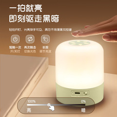 新しい充電の小夜灯の寝室のベッドの上の高級感の小夜灯の創意灯の赤ちゃんはタッチして雰囲気の明かりをたたいて夜の明かりを始めます。