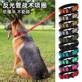 狗狗牵引;宠物项圈;猫猫牵引