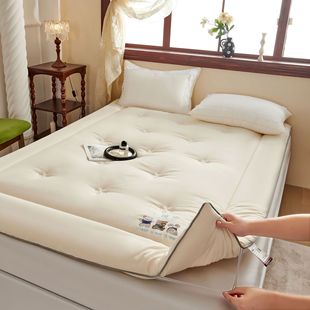 2025 New Warm Soft Mattress Bed Mattress Tatami Soft Mattress Student Bunk Mat Small Warm Pad Series