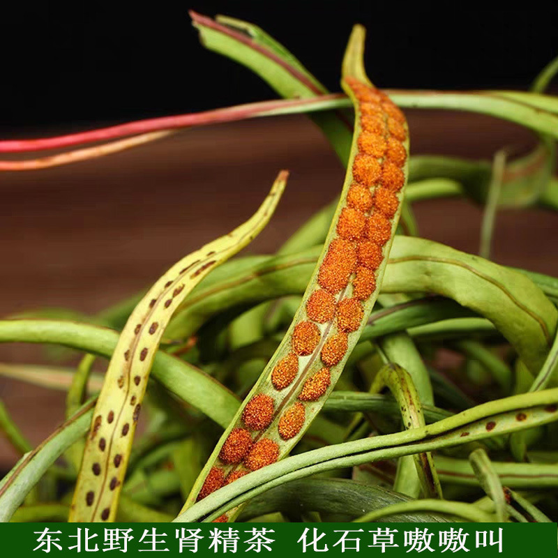 东北野生肾精茶化石草草嗷嗷叫草100克包邮山楂八角茴香其他