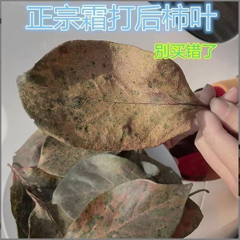 Dried Persimmon Leaf Shi Ye 500g Sulfur-Free Sun-Dried Herbal Tea Leaves specifications