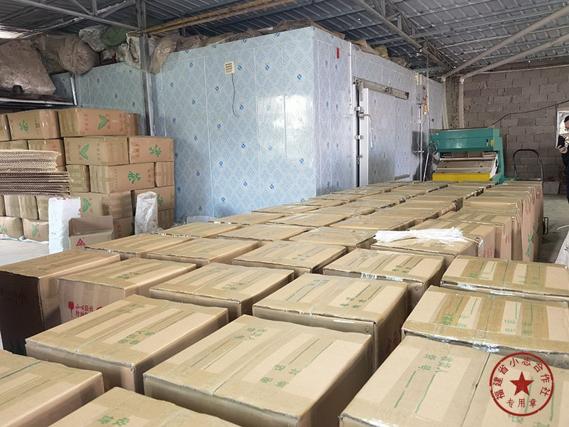 福建省安溪小志茶叶专业合作社