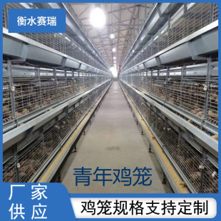 H型青年鸡笼立式 养殖场自动化养殖设备层叠式养鸡笼鸽子笼鹌鹑笼-阿里巴巴