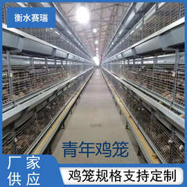 H型青年鸡笼立式 养殖场自动化养殖设备层叠式养鸡笼鸽子笼鹌鹑笼