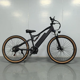 其他电动车;电动代步车;山地自行车