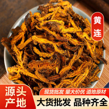 黄连 鸡爪莲单支莲黄连片 中药材黄连 包邮代磨粉量大从优