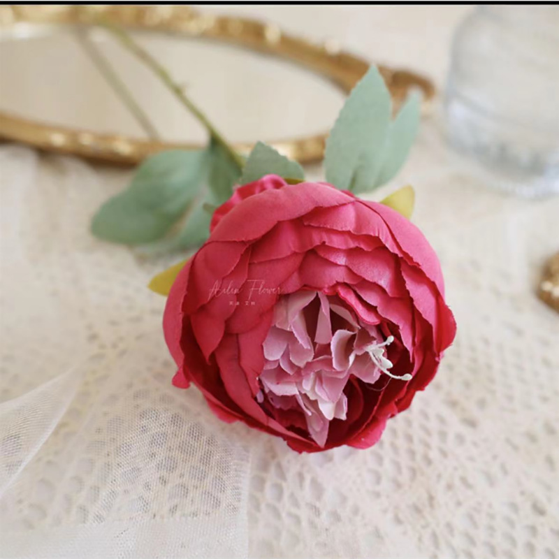 단일 꽃봉오리 모란-장미 빨간색