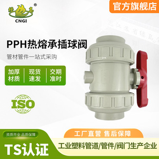 ����PPH���۳в����y��ɫ�۱�ϩ�p����̶����y�����ܵ��������y