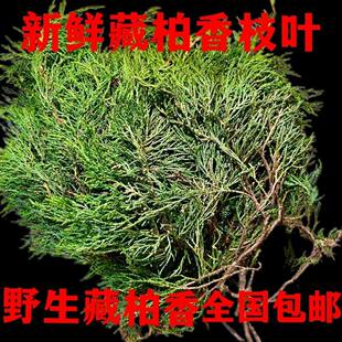 �������ز����֦�~��Ȼ���㹩�����֦��լ�Bˮ���B���������