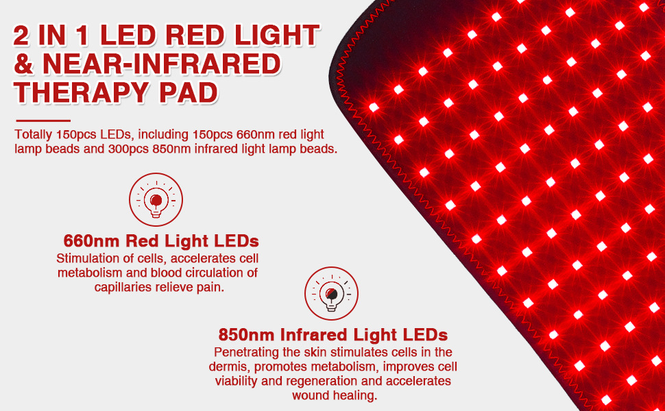 bfc3ed98-c1e7-40ca-b504-629559