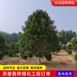 �������~Ůؑ���·���̾G����ľɫ�K�G�hͥ�a�L����ߗUŮؑ����