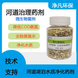 微生物菌剂河道治理臭黑水净化氨氮去除底泥改良长效治理无损鱼虾