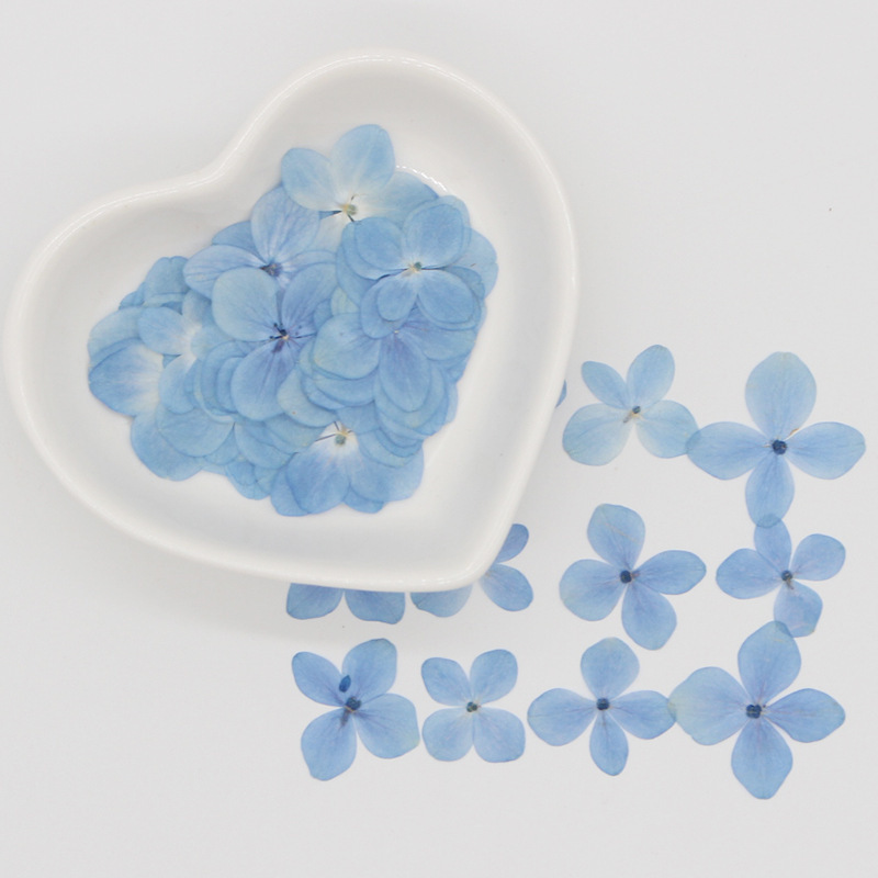 Natural hydrangea dried flower embossed light blue fresh floral photo frame bookmark table lamp hand account sticker decoration handmade