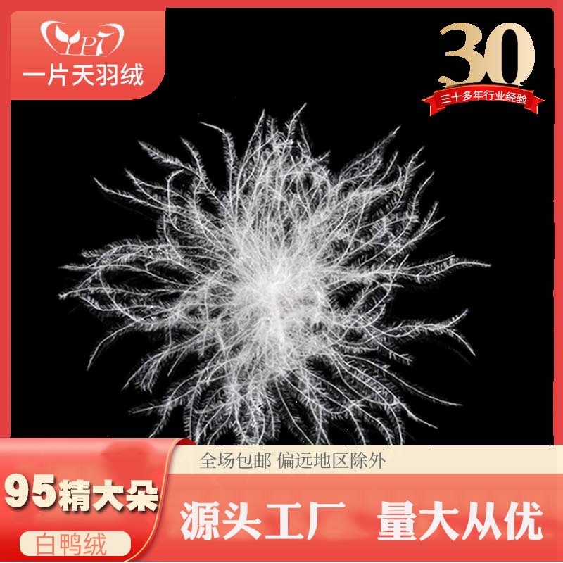 精品大朵系列市场95白鸭绒高蓬松羽绒羽毛可加工定制羽绒被