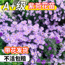 ���һ��玧����ͥԺ�̨�޸��ļ����ܺ��m�����Ի��R�׻��ͺ��͟�