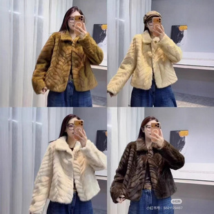 ��Ƥ��2025�����¿���~���߼��К��|���Ӻ�ůƤëһ�w����Ů