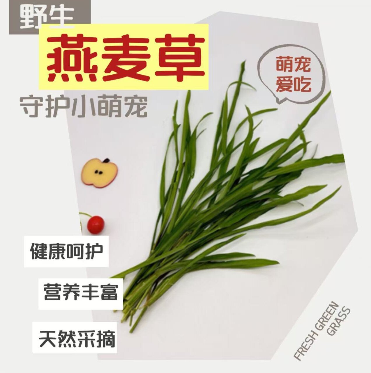 时令野生燕麦草 龙猫兔粮荷兰猪豚鼠饲料兔草提草干草 野生燕麦草