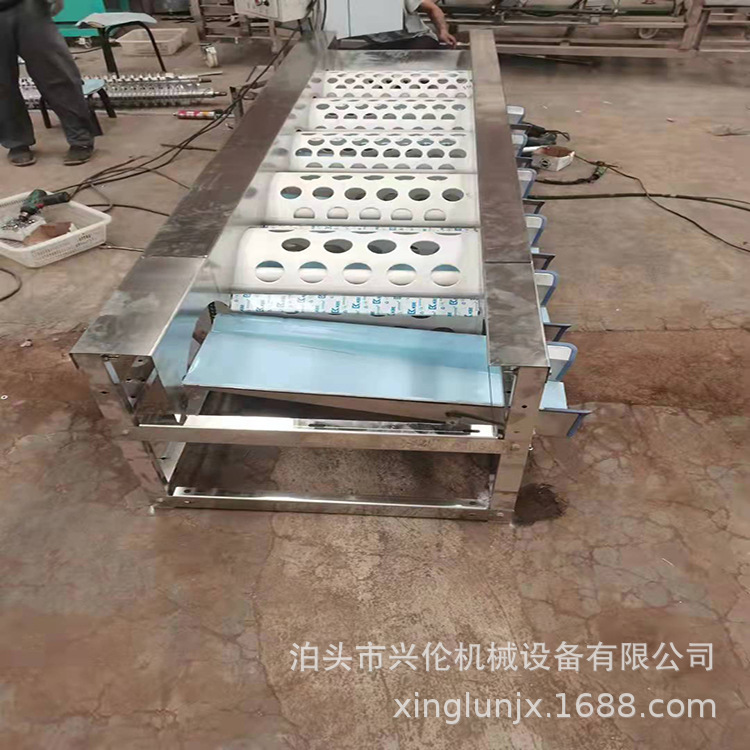 西红柿分果机 沃柑分级机 蜜橘茂谷柑选果机 商用滚桶分选机