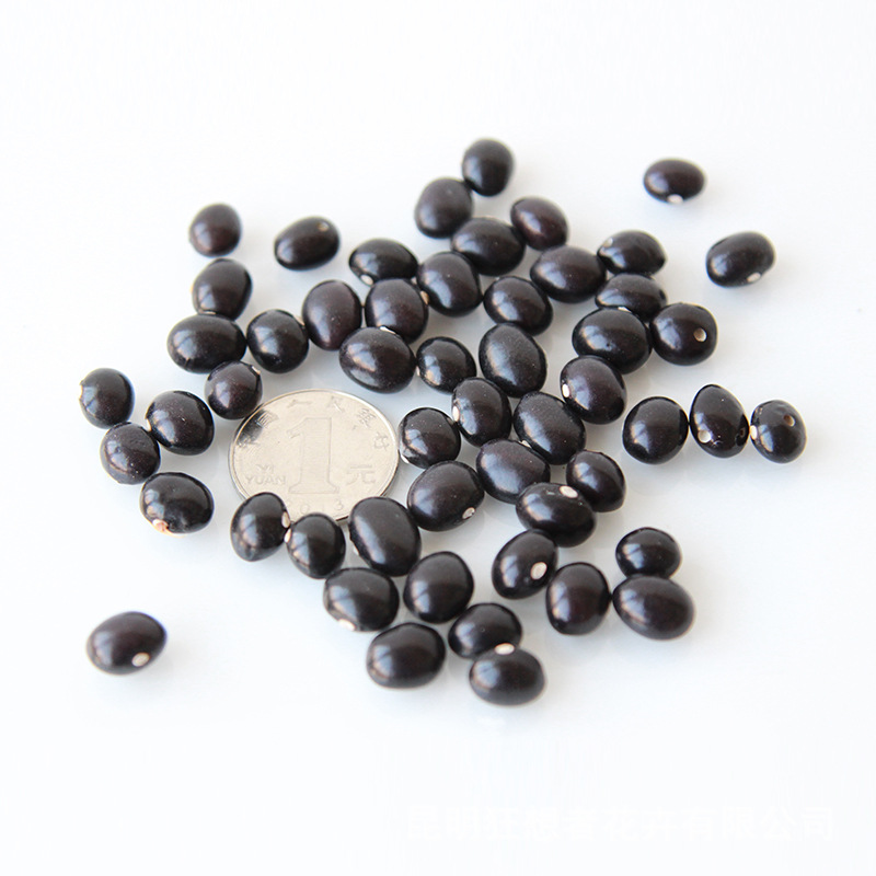 Ngọc trai đen [một túi 20 gram, khoảng 40 miếng]