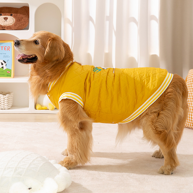 Amarillo inglés de algodón de algodón gran perro chaleco de algodón sin mangas dos pies engrosado otoño y invierno puede traer ropa de perro