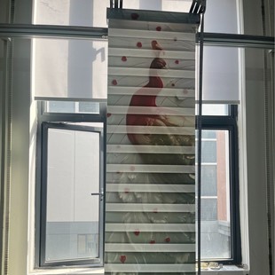 Zebra Blinds Double-Layer High-Shading Custom-Made Sunshade and Sunscreen Soft Gauze Blinds Office Bead Zebra Blinds Factory Wholesale Direct Supply
