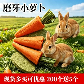 兔子主粮;其他小宠用品;龙猫零食